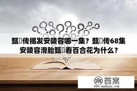 甄嬛传揭发安陵容哪一集？甄嬛传68集安陵容滑胎甄嬛看百合花为什么？