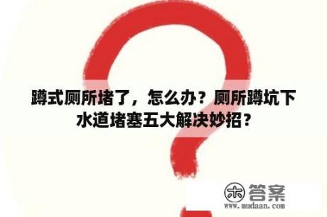 蹲式厕所堵了，怎么办？厕所蹲坑下水道堵塞五大解决妙招？