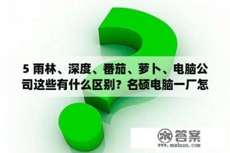 5 雨林、深度、番茄、萝卜、电脑公司这些有什么区别？名硕电脑一厂怎么样？