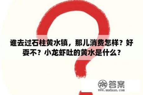 谁去过石柱黄水镇，那儿消费怎样？好耍不？小龙虾吐的黄水是什么？