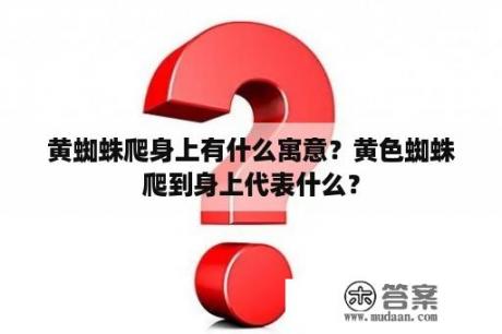 黄蜘蛛爬身上有什么寓意？黄色蜘蛛爬到身上代表什么？