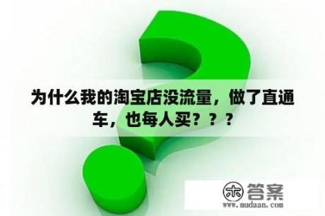 为什么我的淘宝店没流量，做了直通车，也每人买？？？