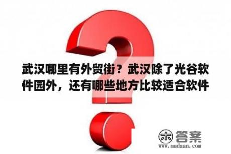 武汉哪里有外贸街？武汉除了光谷软件园外，还有哪些地方比较适合软件企业办公？