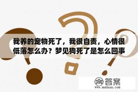 我养的宠物死了，我很自责，心情很低落怎么办？梦见狗死了是怎么回事