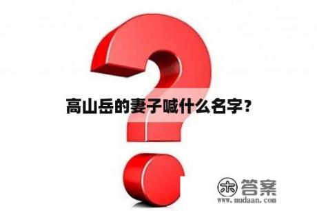 高山岳的妻子喊什么名字？