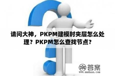 请问大神，PKPM建模时夹层怎么处理？PKPM怎么查找节点？