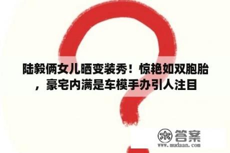 陆毅俩女儿晒变装秀！惊艳如双胞胎，豪宅内满是车模手办引人注目