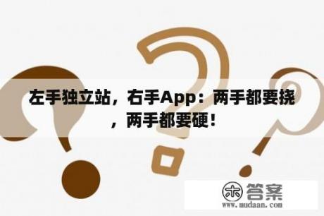 左手独立站，右手App：两手都要挠，两手都要硬！