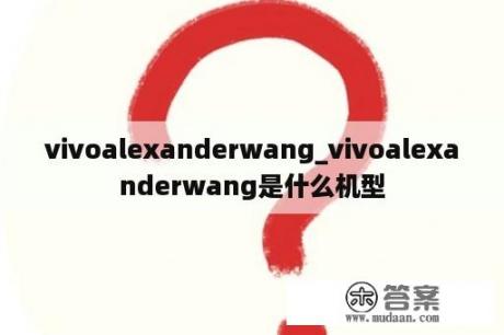 vivoalexanderwang_vivoalexanderwang是什么机型