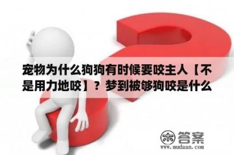 宠物为什么狗狗有时候要咬主人【不是用力地咬】？梦到被够狗咬是什么意思