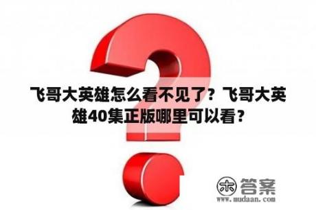 飞哥大英雄怎么看不见了？飞哥大英雄40集正版哪里可以看？