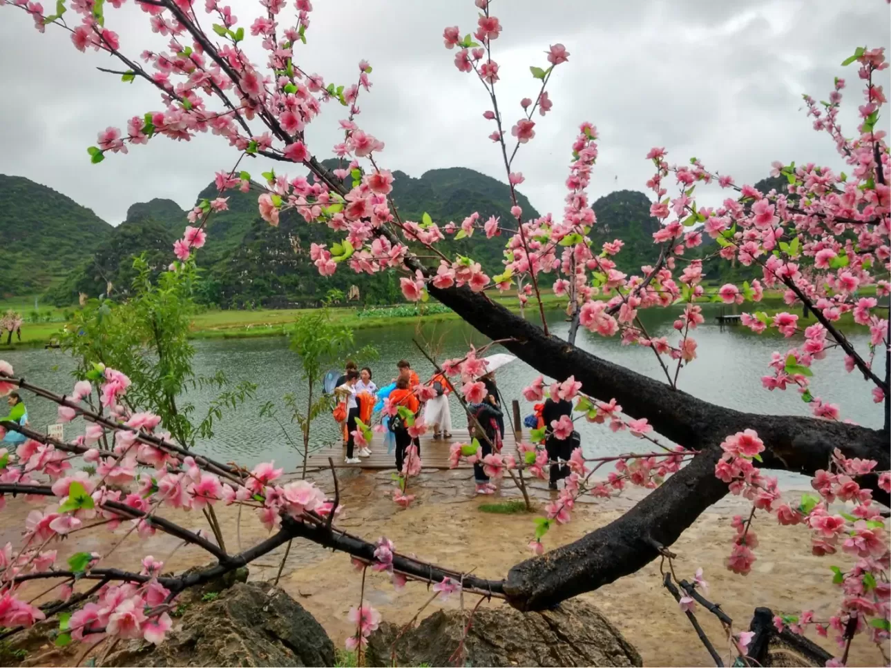 普者黑桃花什么时候开？文山普者黑风景区什么时候去最合适？