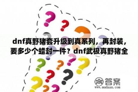 dnf真野猪套升级到真系列，再封装，要多少个蜡封一件？dnf武极真野猪全图攻略？