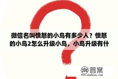 微信名叫愤怒的小鸟有多少人？愤怒的小鸟2怎么升级小鸟，小鸟升级有什么用？