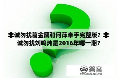 非诚勿扰葛金鹰和何萍牵手完整版？非诚勿扰刘鸣炜是2016年哪一期？