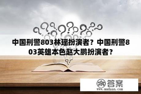 中国刑警803林瑶扮演者？中国刑警803英雄本色赵大鹏扮演者？