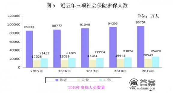 公司给买的社保都包含什么保险？医保等于社保吗?还是它们分别是什么？