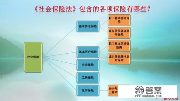 公司给买的社保都包含什么保险？医保等于社保吗?还是它们分别是什么？