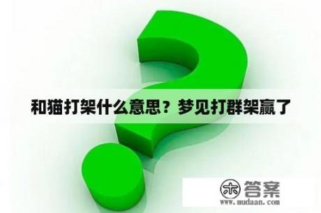 和猫打架什么意思？梦见打群架赢了