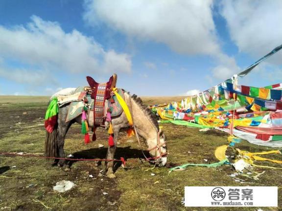 青海十大旅游景区有哪些？可以说说吗？青海大通必玩十大景区？