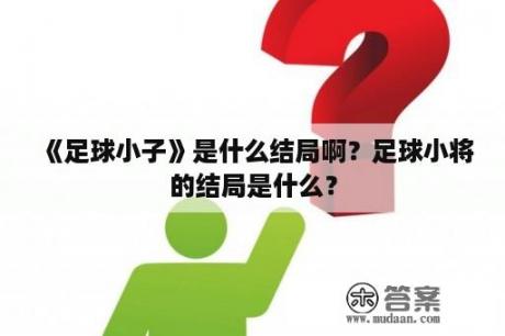 《足球小子》是什么结局啊？足球小将的结局是什么？