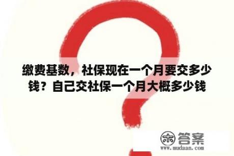 缴费基数，社保现在一个月要交多少钱？自己交社保一个月大概多少钱