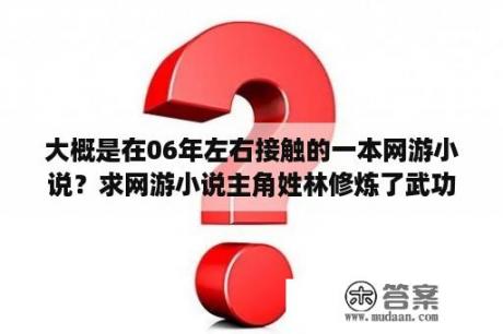 大概是在06年左右接触的一本网游小说？求网游小说主角姓林修炼了武功叫魔剑？