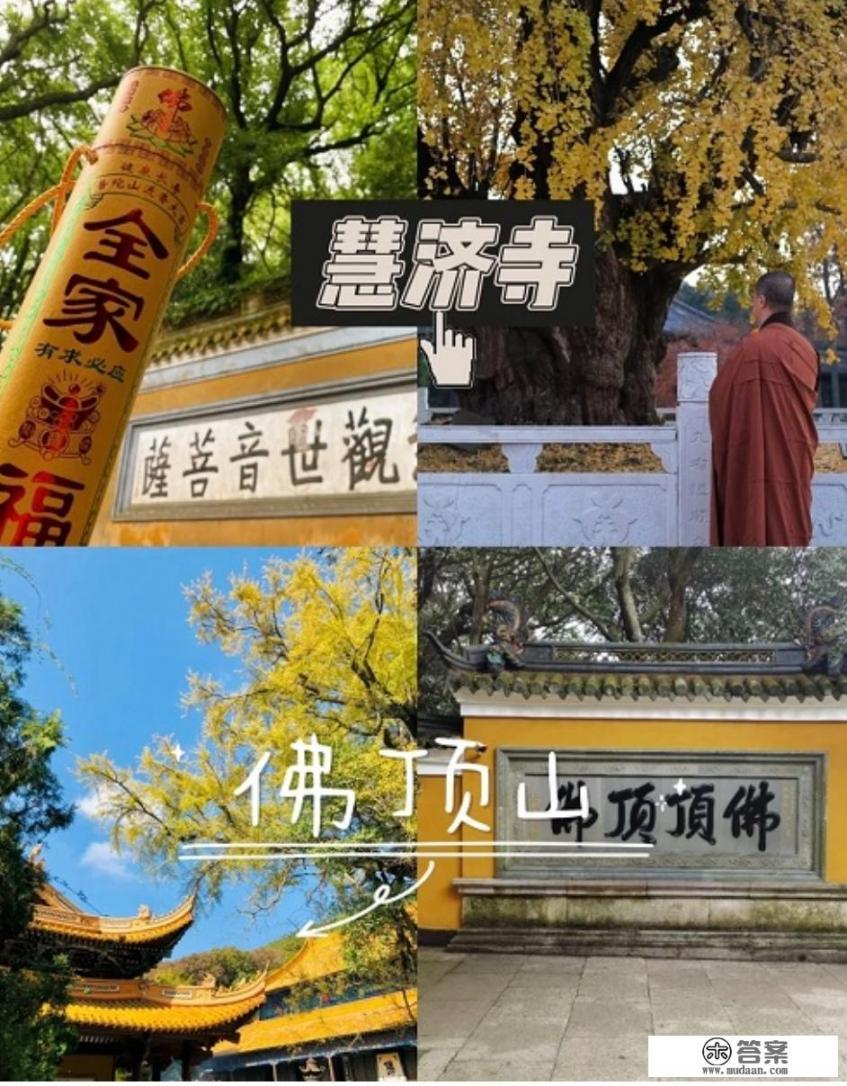 普陀山购票全攻略？普陀山拜菩萨攻略？