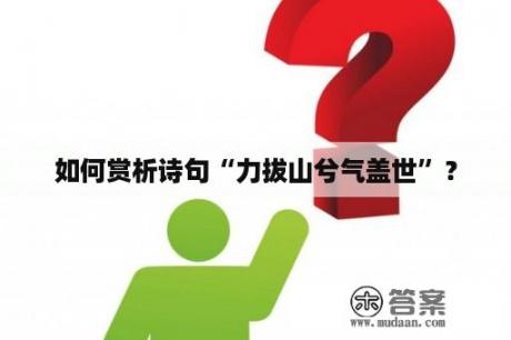 如何赏析诗句“力拔山兮气盖世”？