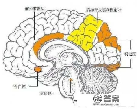 怀念姑妈离世的歌曲？心理学讲如果反复做同一个梦是什么意思？