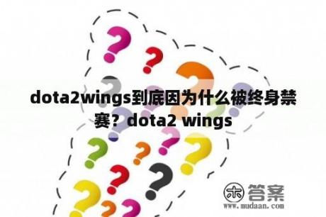 dota2wings到底因为什么被终身禁赛？dota2 wings