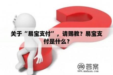 关于“易宝支付”，请赐教？易宝支付是什么？