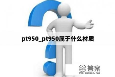 pt950_pt950属于什么材质