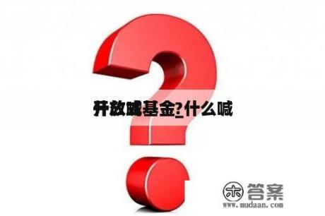 什么喊
开放式基金_什么喊
开放式基金?