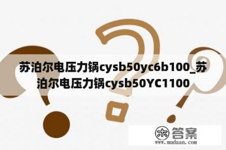 苏泊尔电压力锅cysb50yc6b100_苏泊尔电压力锅cysb50YC1100