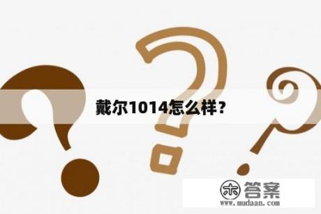 戴尔1014怎么样？