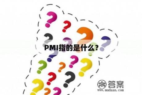 PMI指的是什么？