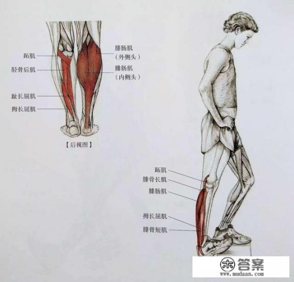 运动后肌肉酸痛怎么快速恢复？