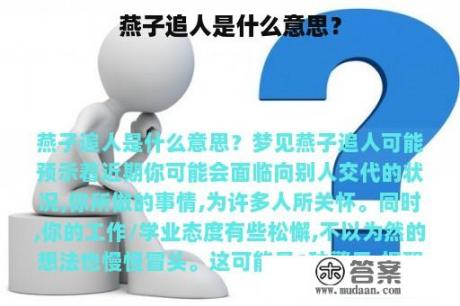 燕子追人是什么意思？