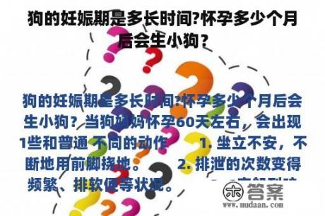 狗的妊娠期是多长时间?怀孕多少个月后会生小狗？