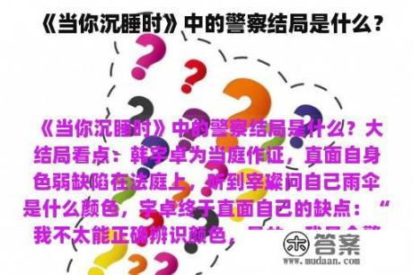 《当你沉睡时》中的警察结局是什么？