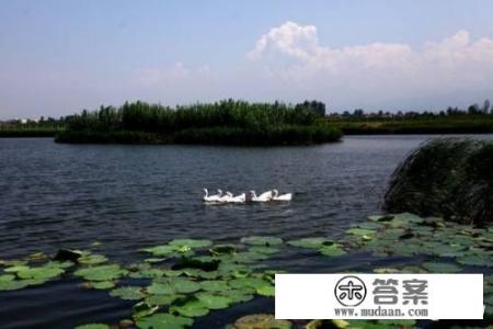 蔡家坡一日游必去景点？