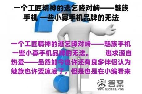 一个工匠精神的逃乞降对峙——魅族手机 一些小寡手机品牌的无法