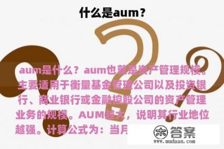 什么是aum？