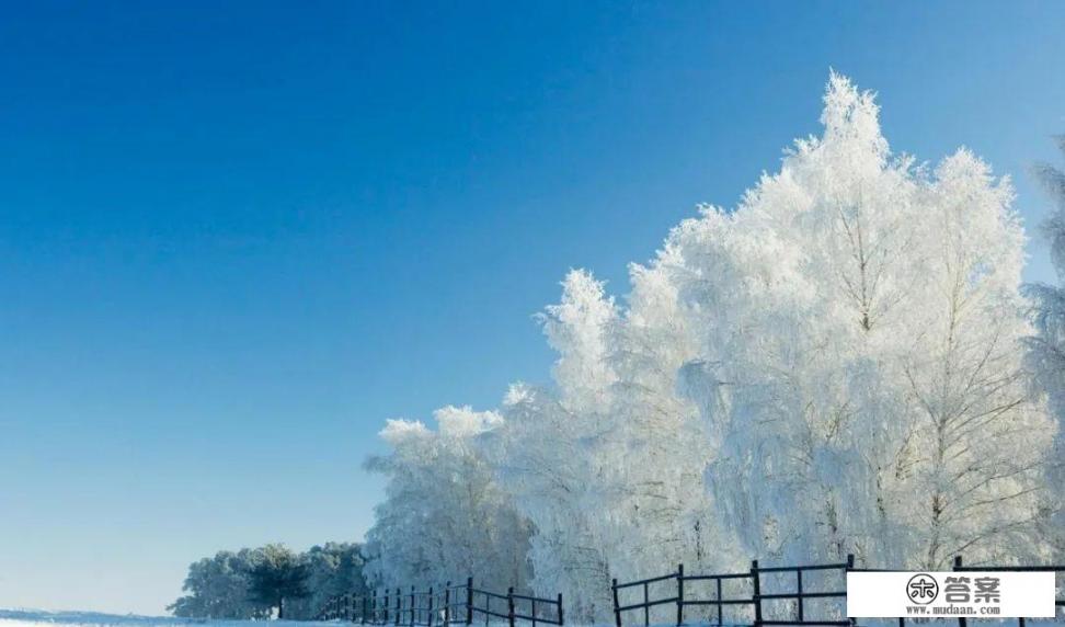 十五首雪的古诗？