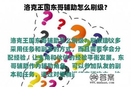 洛克王国东哥辅助怎么刷级？