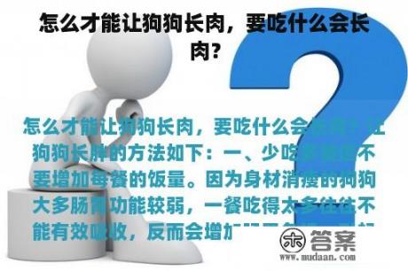 怎么才能让狗狗长肉，要吃什么会长肉？