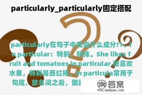 particularly_particularly固定搭配