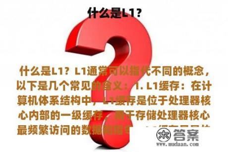 什么是L1？