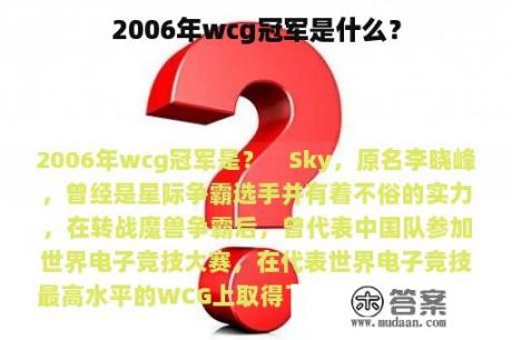 2006年wcg冠军是什么？